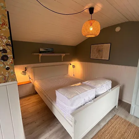 Cozy Near The