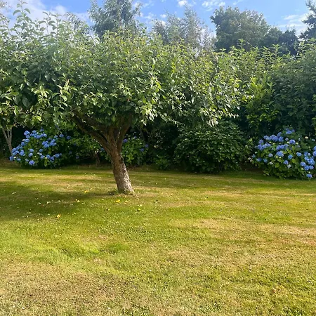 Gezellig Vlak Bij Het Vakantiehuis Dannemare